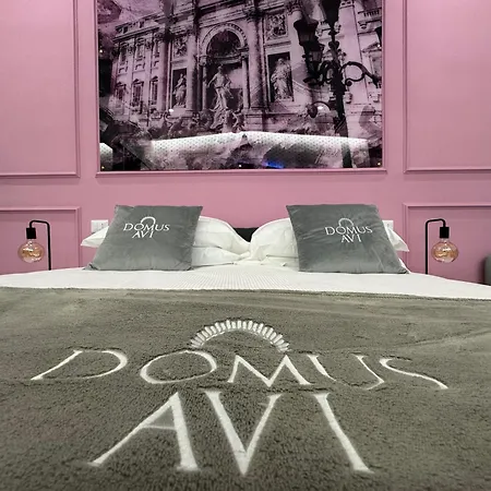 Domus Avi Vaticano Konukevi Roma