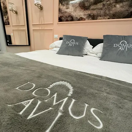 Domus Avi Vaticano 4* Roma