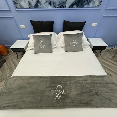 Konukevi Domus Avi Vaticano