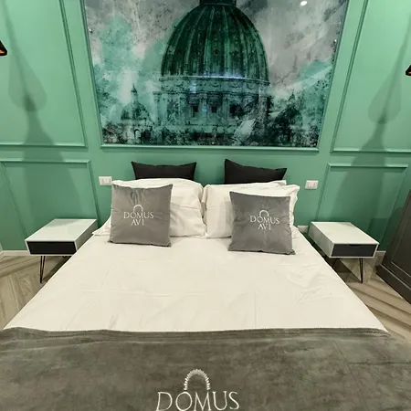 Domus Avi Vaticano 4*