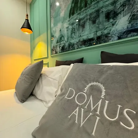 Pensión Domus Avi Vaticano Roma