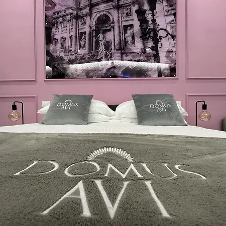 Pensionat Domus Avi Vaticano 4*